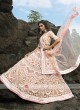 Peach Color Net Lehenga Choli